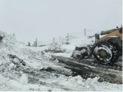 腾博汇游戏官网·(中国)专业效劳,诚信为本